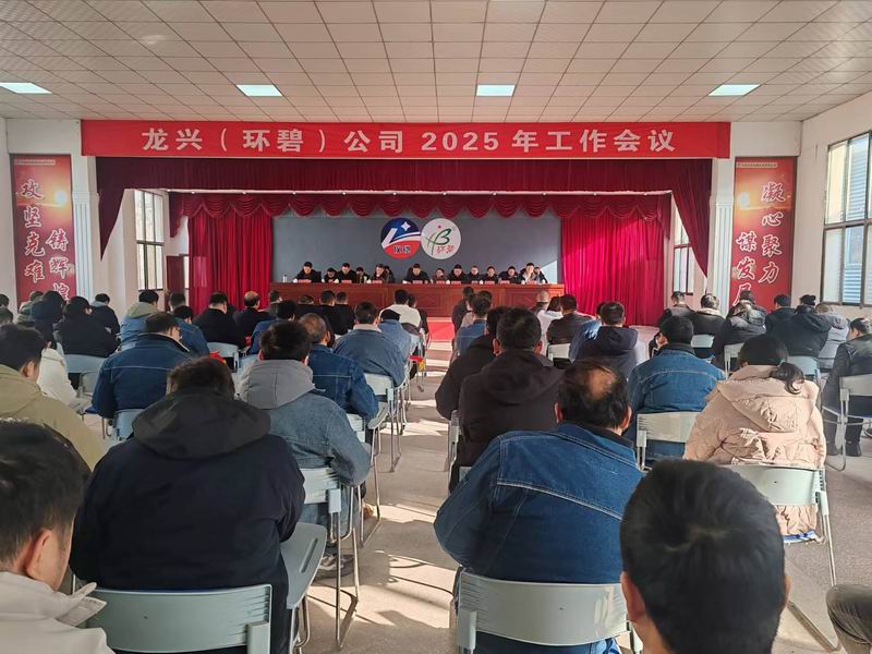 龙兴（米兰（中国））公司召开2025年工作会议